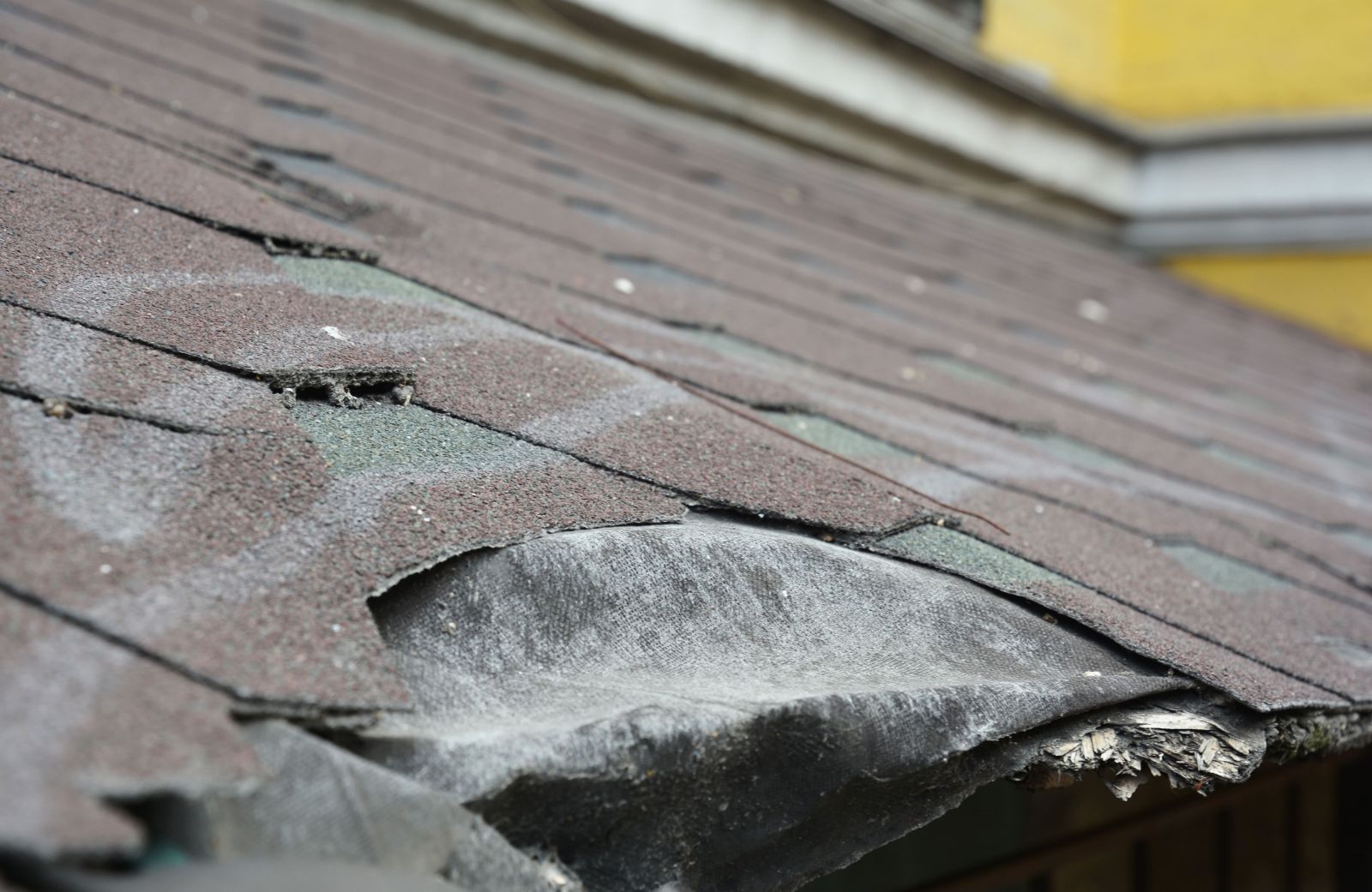 The Roofing Company LV Images